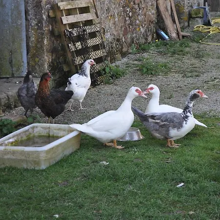 D'hotes La Ferte Gæstehus Saint-Floxel