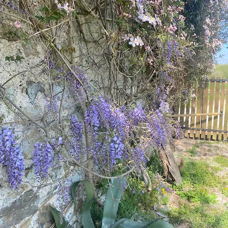 D'hotes La Ferte Saint-Floxel