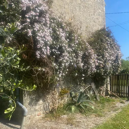 Pensjonat D'hotes La Ferte Saint-Floxel