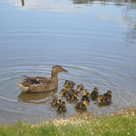 D'hotes La Ferte Gæstehus Saint-Floxel