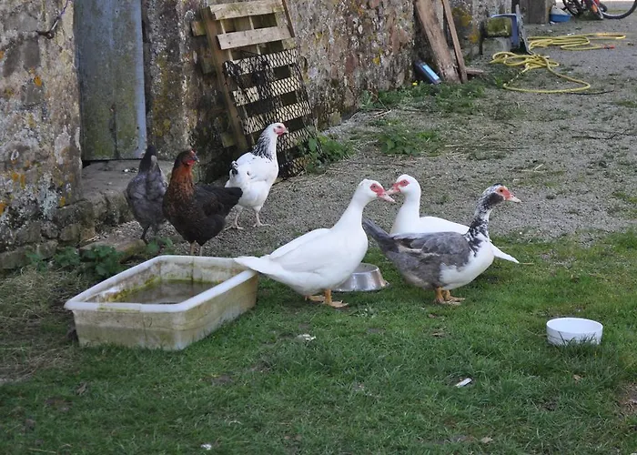 D'hotes La Ferte Guest house Saint-Floxel