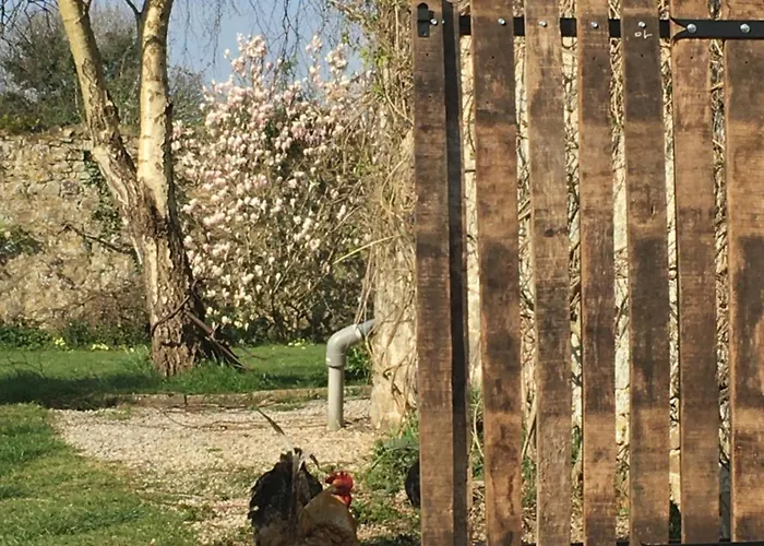 D'hotes La Ferte Guest house