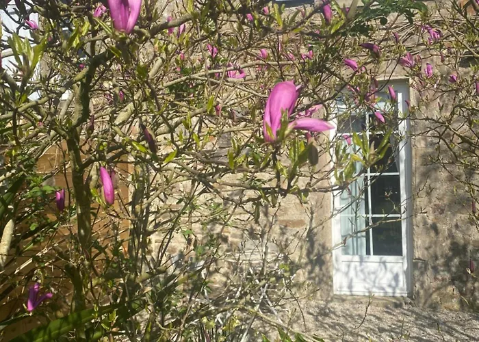 D'hotes La Ferte Guest house Saint-Floxel