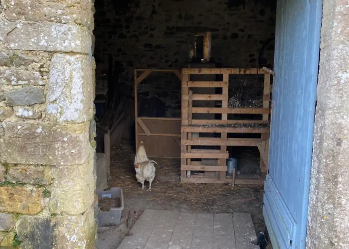 Πανσιόν D'hotes La Ferte 3*