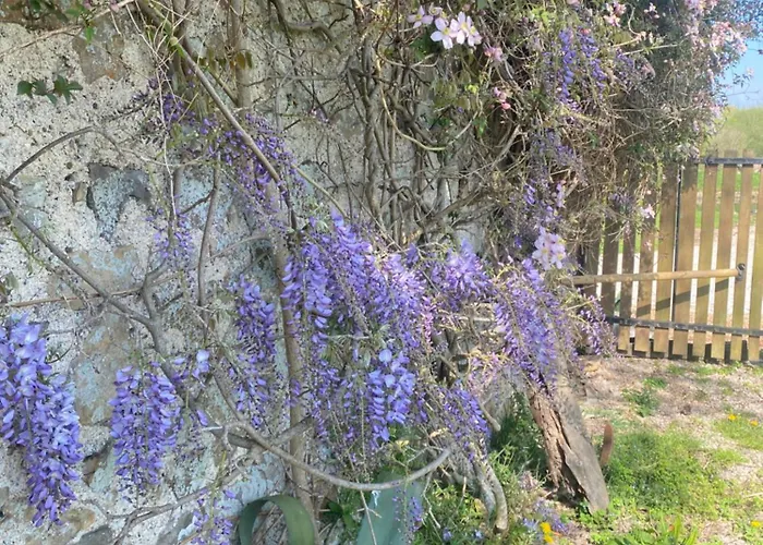 D'hotes La Ferte Saint-Floxel