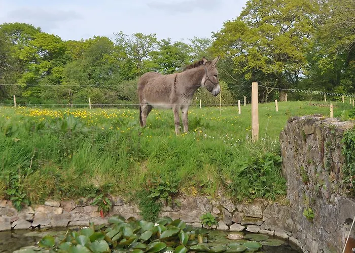D'hotes La Ferte Guest house