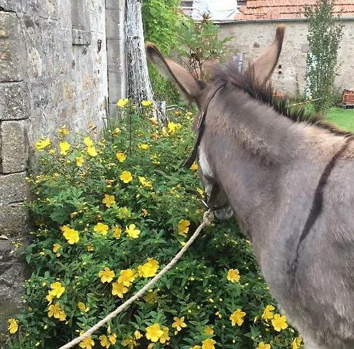 D'hotes La Ferte 3* Saint-Floxel